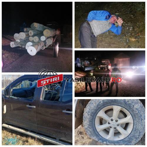 EXCLUSIV FOTO/VIDEO: Acuzații grave la Moisei. Localnic bătut, mașini distruse, amenințări cu moartea, lemn tăiat ilegal, intervenții ale poliției