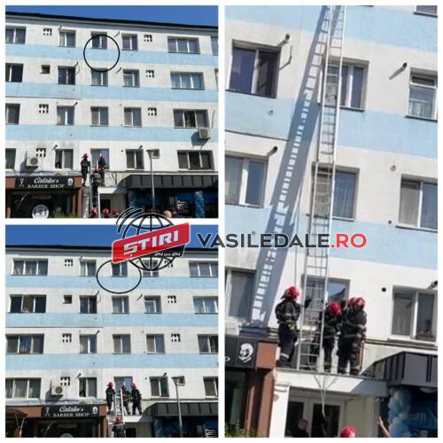 346147244_508642658029874_430725552498163876_n