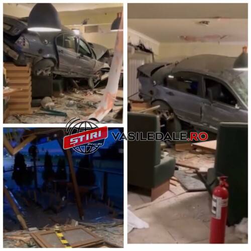 346151407_6319235131449181_6925008762114451605_n