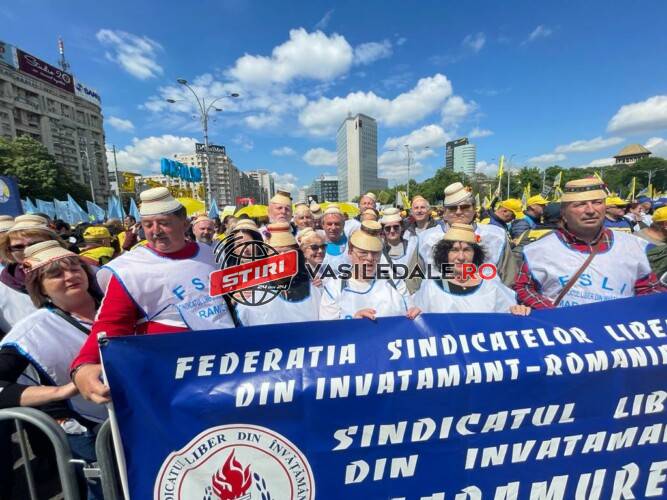 IMG-20230510-WA0006-1