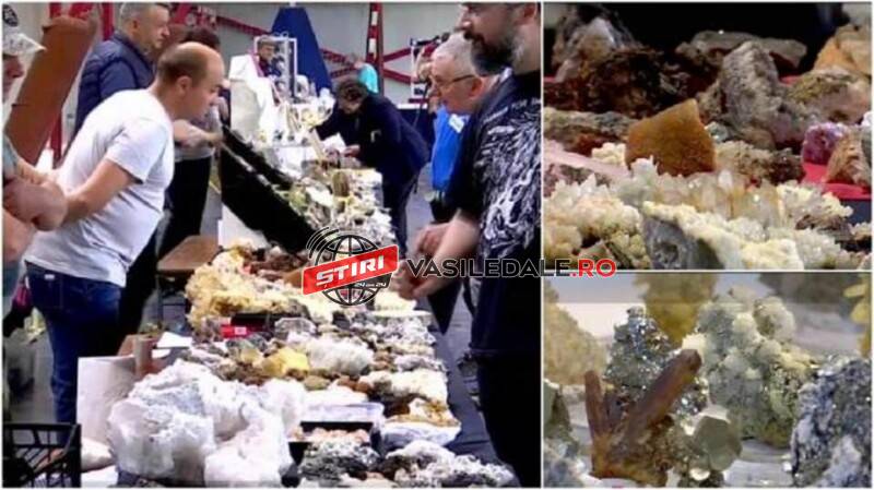 EXPOIZIŢIA „FLORI DE MINĂ” DIN CAVNIC: Vedeta, un mineral de 100.000 de euro, adus din Amazonia