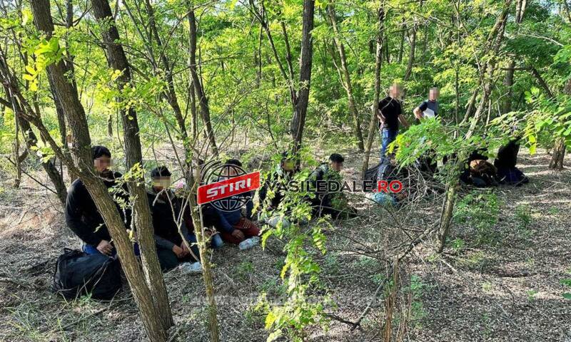 O călăuză din Satu Mare și 12 migranți, opriți la frontiera cu Ungaria O călăuză din Satu Mare și 12 migranți, opriți la frontiera cu Ungaria