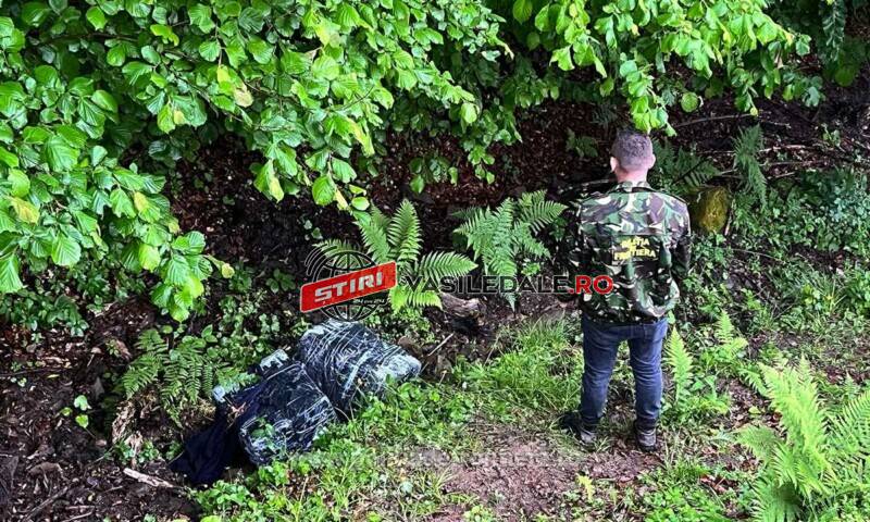 VALEA VIŞEULUI: Țigări în valoare de 17.500 lei confiscate. S-au tras focuri de armă