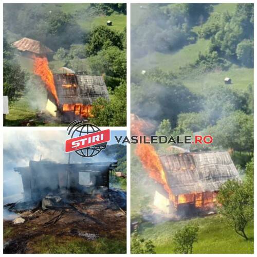 350850938_636034325063588_3420150058533177012_n