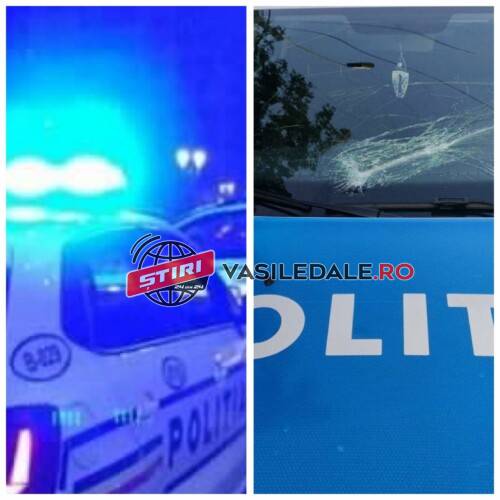 351327147_594766625796456_327323512744987214_n