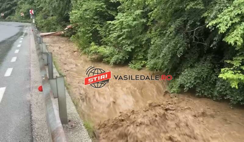 353055775_6427282020685246_5974756731679490245_n