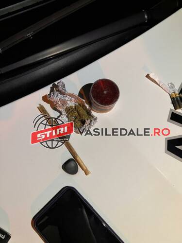 Un tânăr a fost prins de polițiștii locali consumând droguri în Parcul Dacia (foto)