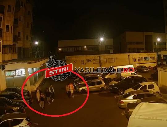 VIDEO CAMERĂ SUPRAVEGHERE: Teribilism pe strada Școlii. Mai mulţi tineri s-au apucat să lovească cu pumnii în tot ce le-a ieșit în cale