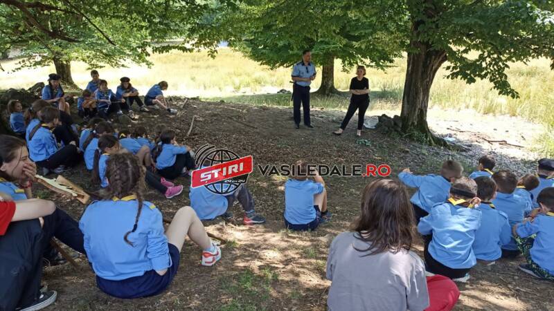 IPJ MARAMUREŞ: ACȚIUNI PREVENTIV REACTIVE ÎN SISTEM INTEGRAT