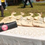 357722228_6274519985972751_2270388444725630805_n