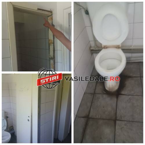 360972142_654612793258601_4440513469732326978_n