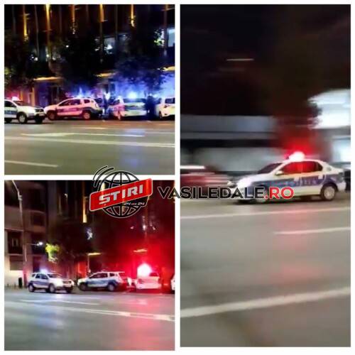 EXCLUSIV VIDEO: Patru echipaje ale Poliției au intervenit după ce mai mulți tineri au cerut ajutor că ar fi agresați pe Bd. București din Baia Mare