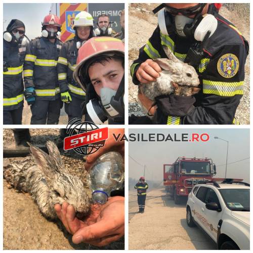 Imagini cumplite din infernul din Grecia. Cinci pompieri din Maramureș au ajuns pe insula Rhodos (foto/video)