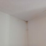 62500909-8277-4382-8ba7-9883cfaded2b