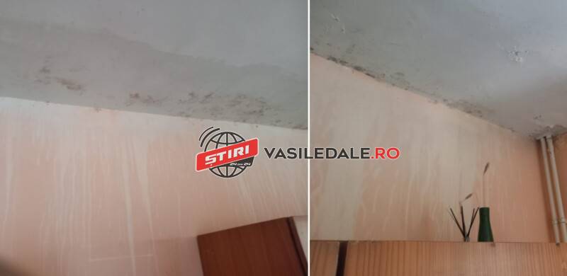 EXCLUSIV VIDEO: 12 bătrâni ţinuţi într-un centru ilegal din Baia Mare. Firma avea cod CAEN pentru şedinţe de spiritism și servicii de escortă (actualizare)