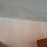 6c57df39-ed05-4b62-93cb-6d5573babfde