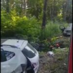 7cd54c93-fd18-4843-8bff-01e1d622104d