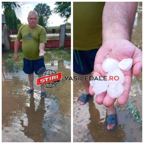 Prăpăd în Maramures: Grindină de mărimea oului de prepeliță în Lucăcești, Mireșu Mare, Gârdani, Asuaju de Sus, Remeți pe Someș și Hovrila (video)