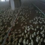 WhatsApp Image 2023-07-18 at 11.14.34