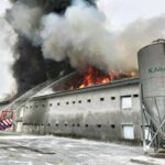 WhatsApp Image 2023-07-18 at 11.14.35