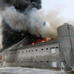 WhatsApp Image 2023-07-18 at 11.14.36 (1)