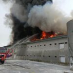 WhatsApp Image 2023-07-18 at 11.14.36