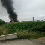 WhatsApp Image 2023-07-18 at 11.14.37