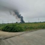 WhatsApp Image 2023-07-18 at 11.14.38