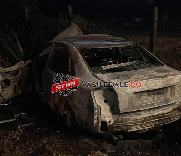 FOTO / ACCIDENT PE DJ 186: Maşină cuprinsă de flăcări după ce s-a izbit de un gard şi de un copac. Şoferiţa a ajuns la spital