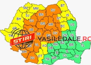 COD GALBEN de vijelii şi grindină