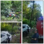 f2b0da82-61ab-463a-9c5e-b687ca3d1890