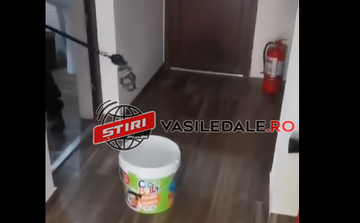 INTERVENŢIE INEDITĂ: Jandarmii au prins un şarpe la Casa Corpului Didactic