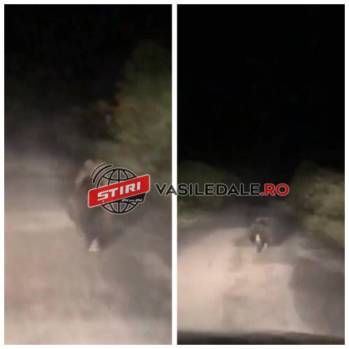 364539241_703410678284941_5159185164113134311_n