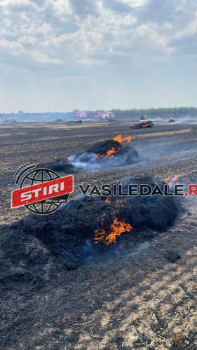 VIDEO – Incendiu uriaș între Seini și Apa. Flăcările au mistuit baloții și hectare întregi de paie