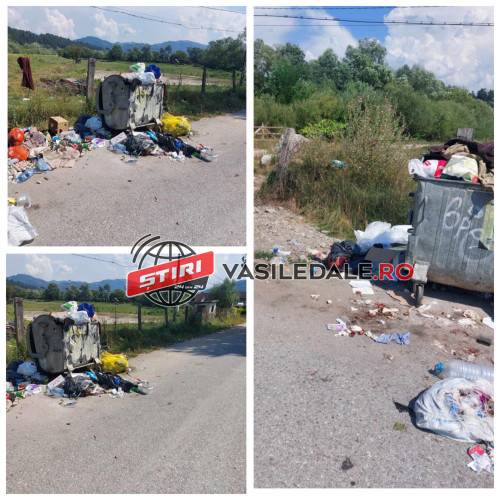 FOTO CITITORI: Locuitorii de pe strada Valea Vinului reclamă că gunoiul nu s-a ridicat de o lună