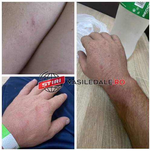 EXCLUSIV FOTO: Scandal într-o familie din Vișeu de Sus. Fiul acuză că a fost internat la Psihiatrie deși el a fost cel bătut