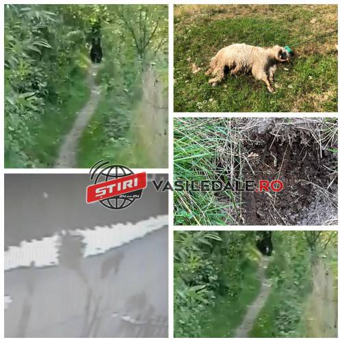 368350381_9733491930059254_3752251625526852673_n