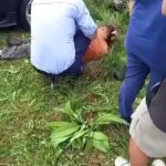 3c7ee740-a18e-47b0-9620-8cda210563a3