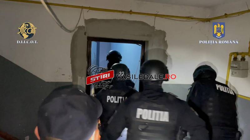 VIDEO: Mascații din Maramureș au intervenit în Bistrița Năsăud. Arme, droguri, bani, prostituție, trafic de minori, braconaj, 16 persoane săltate – 6 arestate