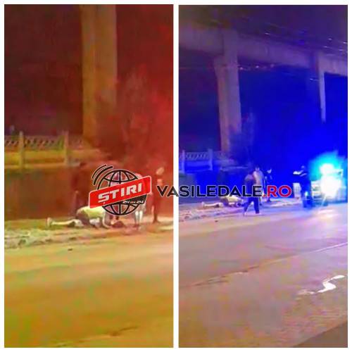 EXCLUSIV VIDEO: Femeie în comă, după ce a fost lovită de o maşină în Baia Mare (actualizare) EXCLUSIV VIDEO: Femeie în comă, după ce a fost lovită de o maşină în Baia Mare (actualizare)