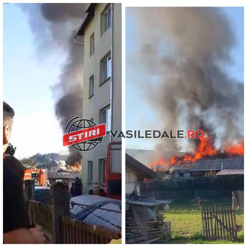 372030260_1051456842694750_4408345757544089408_n