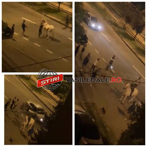 EXCLUSIV VIDEO: Baia Mare, vestul Sălbatic al României – Călăreții au apărut printre mașini în miez de noapte