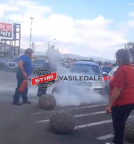 381106963_857805529030005_1121843523628217987_n