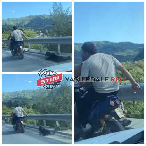 VIDEO ŞOCANT: Un câine a fost legat cu lanţ şi târât după un scuter la Ruscova – ACTUALIZARE