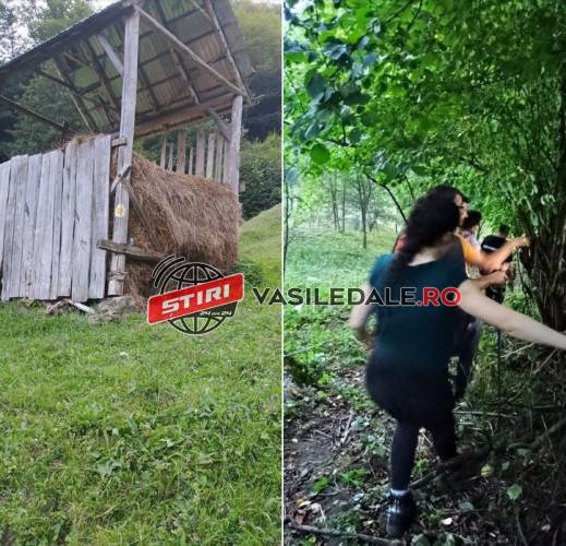 FOTO: Turiste atacate de bivoli pe vf Tocarnea. S-au urcat pe fânul depozitat într-o anexă. Au fost salvate de jandarmi și salvamontiști