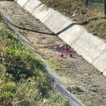 368107938_1325553468349544_7916169097970363080_n