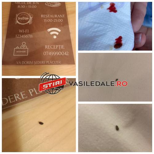 384521697_197335823378793_7585767447464373525_n