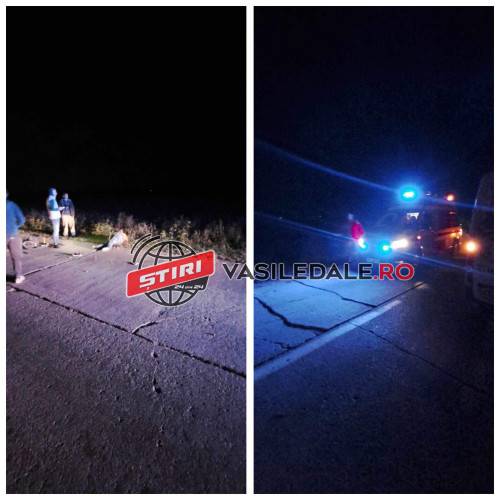 EXCLUSIV VIDEO – Tragedie la Lucăcești: Biciclist spulberat de un autoturism al cărui șofer a fugit de la fața locului. A fost prins de poliție. 1.12 mg/l alcool pur în aerul expirat a indicat etilotestul – ACTUALIZARE