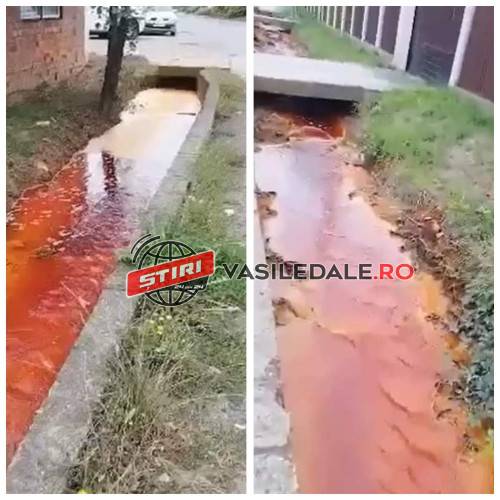 EXCLUSIV VIDEO: Apele de mină curg roșii pe strada Nucului din Baia Mare. Cei de la mediu ridică din umeri pentru că nu au laborator și habar nu au cu ce otrăvuri sunt omorâți băimărenii