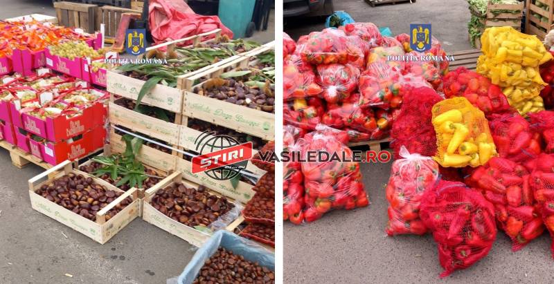 WhatsApp Image 2023-10-19 at 15.36.36